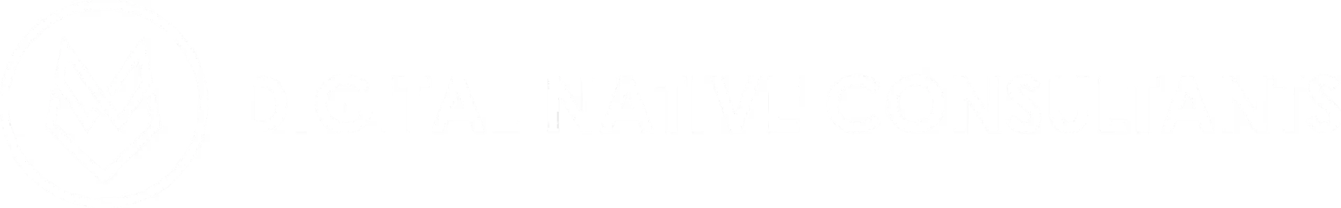 Digital Native Consultants