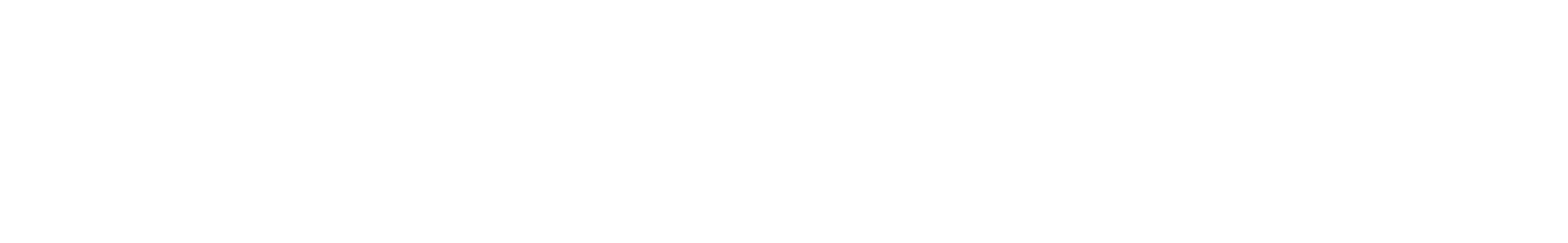 Digital Native Consultants
