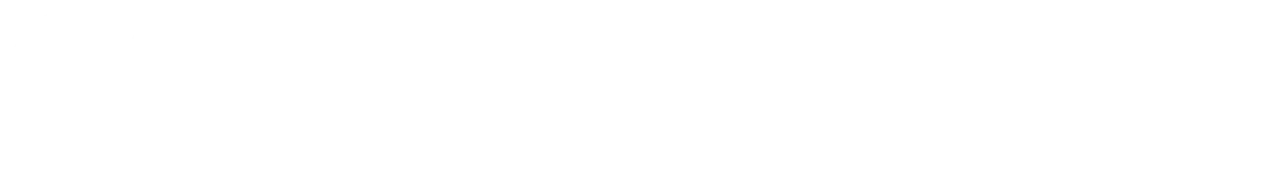 Digital Native Consultants