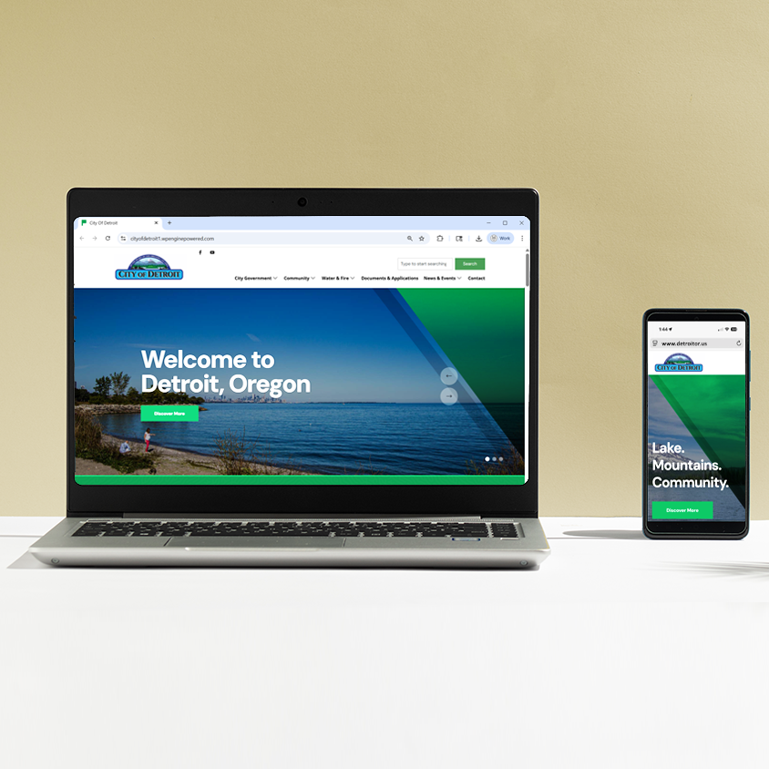 Custom Website Development, City of Detroit