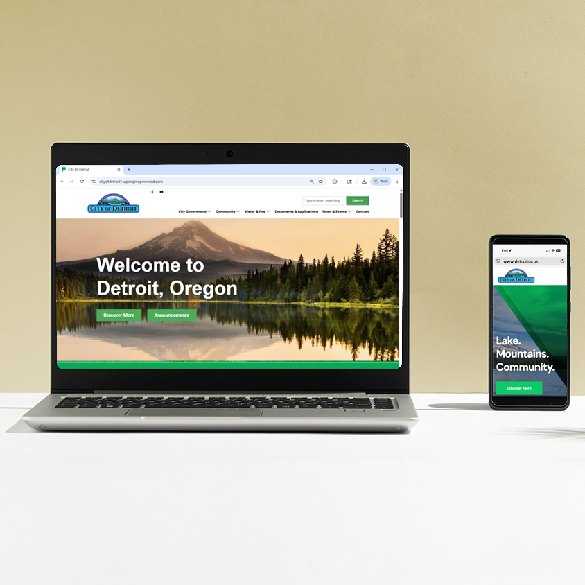 Custom Website Development - City of Detroit